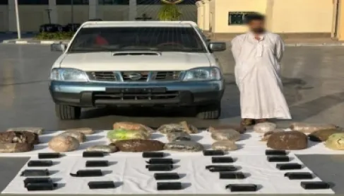 مصر.. ضبط مخدرات بـ1.4 مليار جنيه داخل مزارع سرية في الإسماعيلية