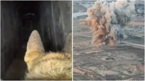 الجيش الإسرائيلي يعلن تدمير نفق جنوب غزة يحتوي على صواريخ وذخائر - صور