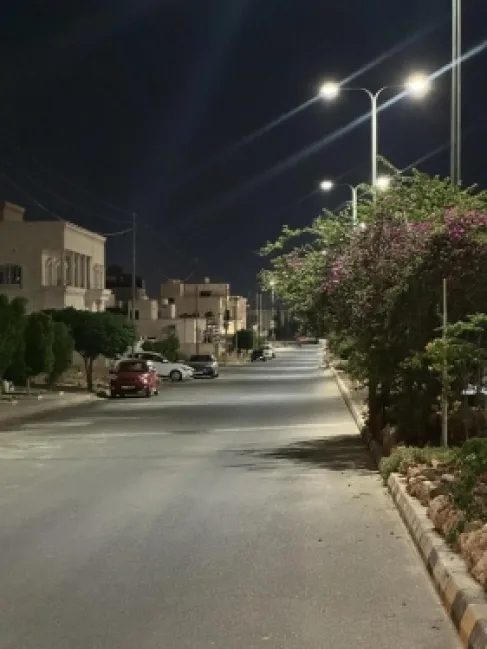 رعب في مدينة الشرق بالزرقاء.. الكلاب الضالة تحاصر الأحياء ومحيط المدارس