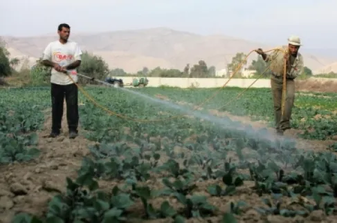 هل أصبح الأردن مكتفياً غذائياً؟ وزير الزراعة يكشف أرقاماً لافتة
