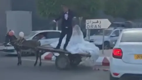 الجزائر.. فيديو لعريس ينقل عروسه بحمار يفتح الجدل حول تكاليف الأعراس