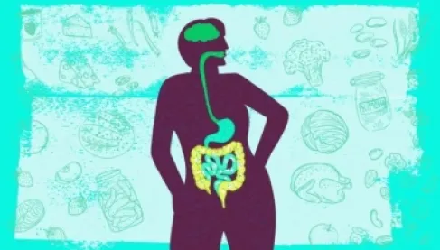 ليست للهضم فقط.. الأمعاء ترسل إشارات إلى الدماغ لتكوين الذكريات