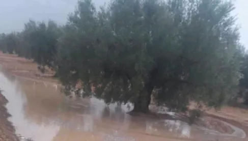 بعد موجة حر قياسية.. سيول مفاجئة تضرب تونس وتودي بحياة طفل