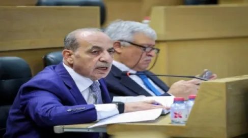نائب رئيس الوزراء وزير الإدارة المحلية وليد المصري