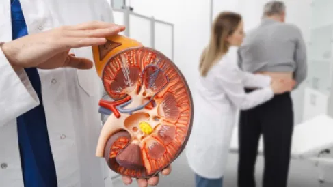 خبراء يكشفون أفضل مشروب لحماية الكلى.. فما هو؟
