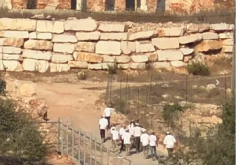 مستوطنون إرهابيون ينفِّذون جولات استفزازية في خلايل اللوز ببيت لحم