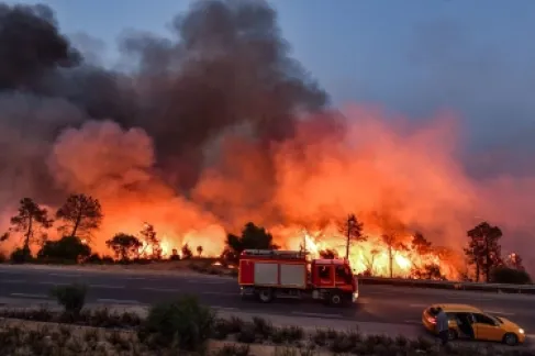ارتفاع حصيلة ضحايا حرائق الغابات في الجزائر إلى 73 شخصاً
