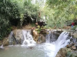 وادي الريان
