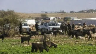 فلسطينيون في منطقة الأغوار يواجهون خطر التهجير من قبل الاحتلال الإسرائيلي