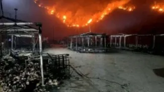 حرائق الجزائر