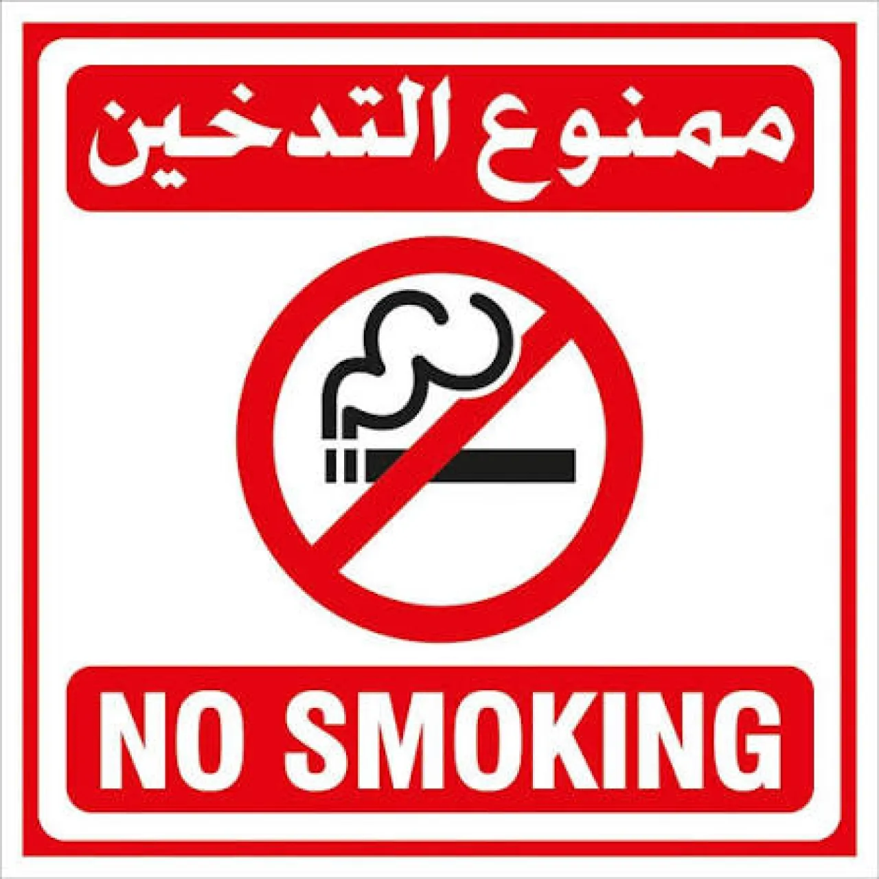 صورة الخبر