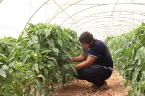 مذكرة تفاهم لتمويل مشاريع خريجي التخصصات الزراعية