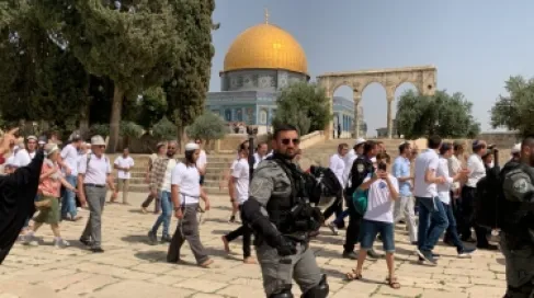 برئاسة الصفدي .. اجتماع وزاري عربي يدين التصعيد غير المسبوق في الأقصى