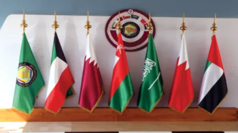 مجلس التعاون الخليجي يدين هجمات الحوثيين على السعودية ويصفها بالإرهابية
