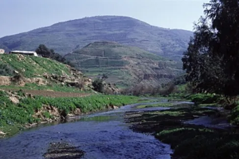 باحث: وادي الزرقاء نموذج مهم للثروة الأحفورية