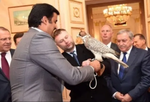 ما مصير الصقر النادر الذي أهداه بوتين لأمير قطر قبل 10 أعوام؟