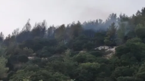 الاردن .. السيطرة على حريق أتى على نحو 25 دونما في جرش