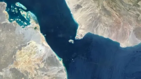مصدر عسكري يمني: ميليشيا الحوثي نشرت ألغاماً في باب المندب