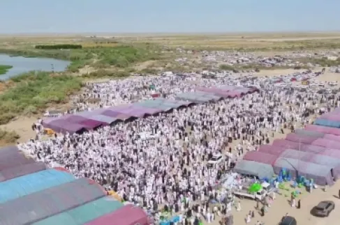 أكثر من 1000 رأس من الغنم والإبل في وليمة زفاف بالعراق.. فما القصة؟