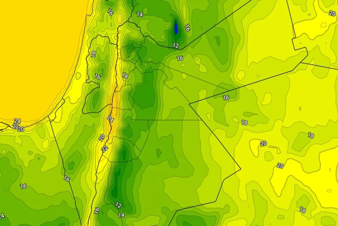 صورة الخبر
