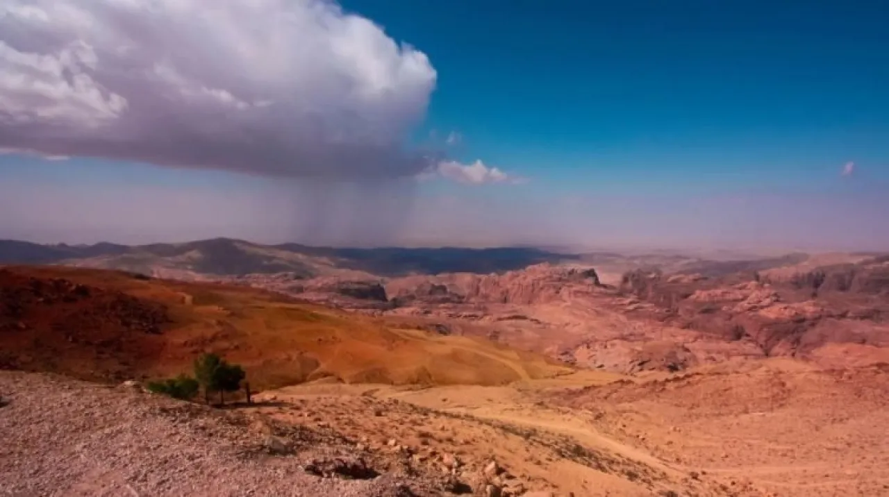 صورة الخبر