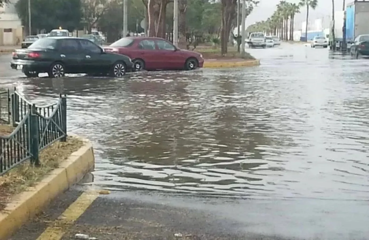 صورة الخبر