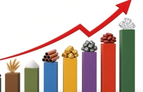 أسعار السلع الأكثر ارتفاعا في العالم