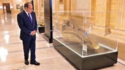 حفرية لديناصور مصري يعود تاريخها لـ100 مليون سنة تلفت انتباه السيسي