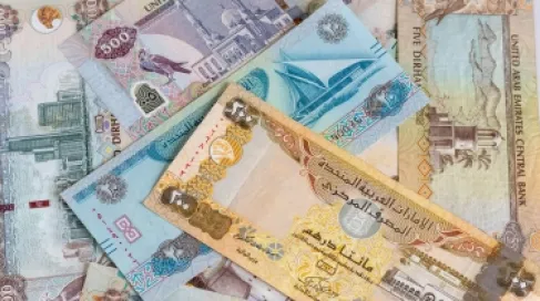 الأعلى عالميا.. 161 مليار دولار تحويلات العاملين بالخليج في 2025