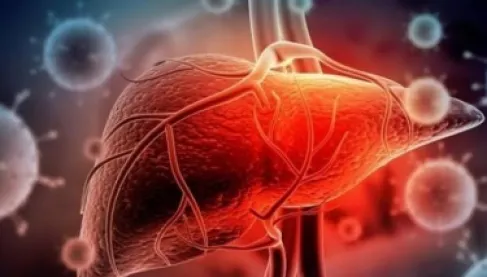 يفتح بابا لعلاجات جديدة.. اكتشاف إنزيم قد يحمي الكبد الدهني من التدهور
