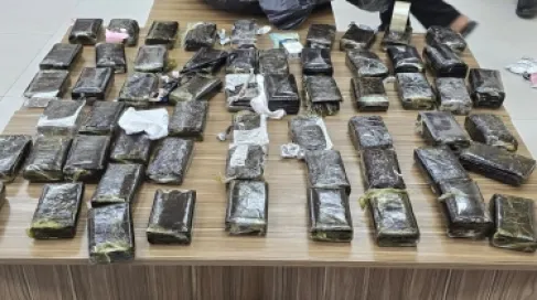 الجمارك تضبط 296 كفا من الحشيش و6 كيلوغرامات من الماريغوانا