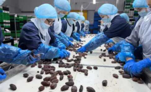 عبر الذكاء الاصطناعي.. رحلة تمر (المجهول) الأردني إلى العالم