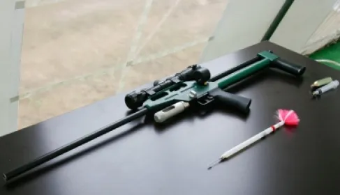 بلديات أردنية تطرح عطاءات لشراء بنادق تخدير الكلاب الضالة