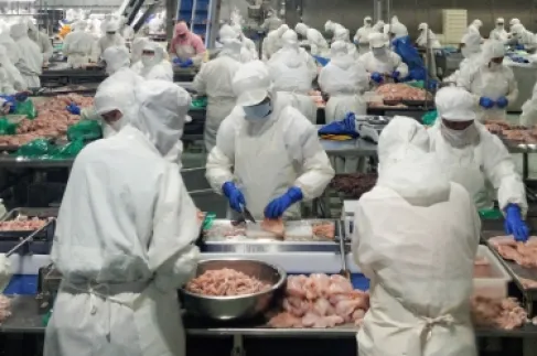 مفاوضات بين تجار أردنيين وشركة صينية لاستيراد الدجاج