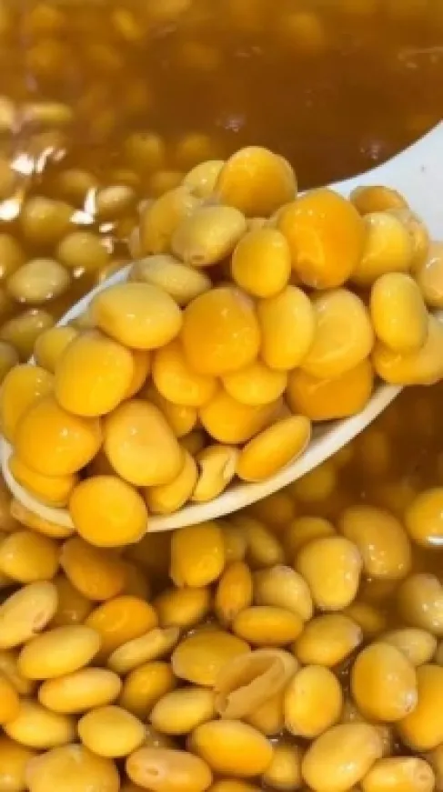 بسبب الترمس.. تسمم أكثر من 50 مدعواً بحفل زفاف في مصر