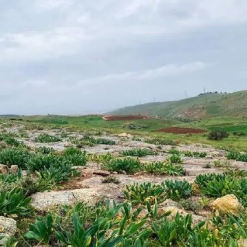 عمّان: العثور على جثة شاب في منطقة أبو السوس