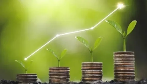 الاقتصاد الأخضر.. سوق الـ10 تريليونات دولار