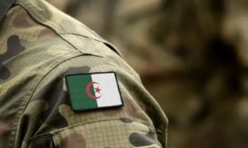 مجلس الأمة الجزائري يصادق بالإجماع على إرسال قوات إلى النيجر