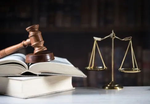 إرادة ملكية بتعيين 12 محامياً بالسلطة القضائية - (أسماء)
