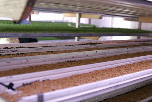 330 مليون دينار فاتورة التموين والعلف