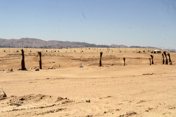 أيلة .. واحة العقبة وسط استثمار متعثر - صور