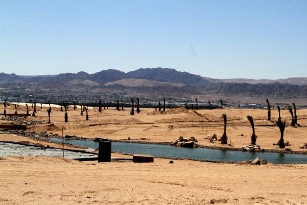 أيلة .. واحة العقبة وسط استثمار متعثر - صور