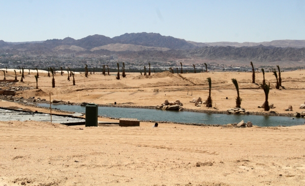 أيلة .. واحة العقبة وسط استثمار متعثر - صور