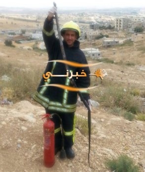 قتل حنيش طوله مترين بالمفرق - صور