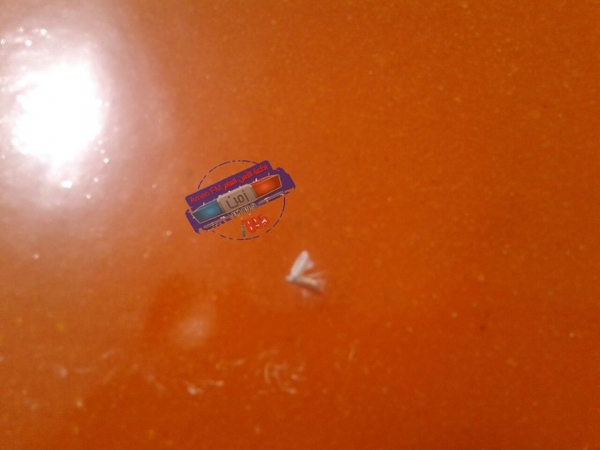 حشرات داخل قمر الدين - صور