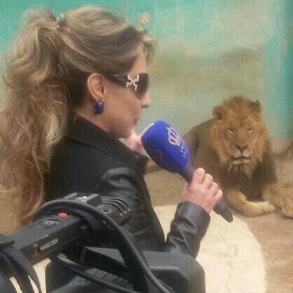 الطراونة والبعد السابع