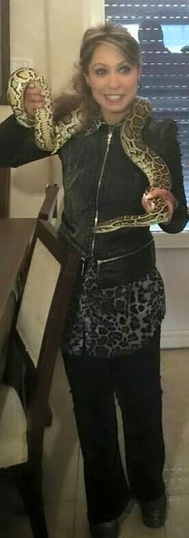 الطراونة والبعد السابع