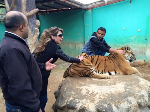 الطراونة والبعد السابع