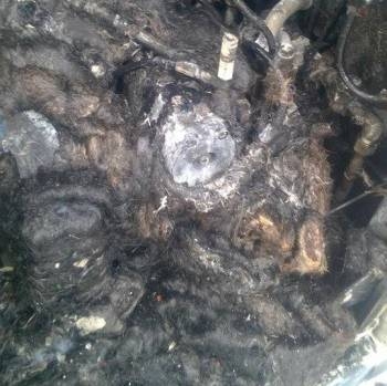 شاهدوا صور حريق آلية المطار