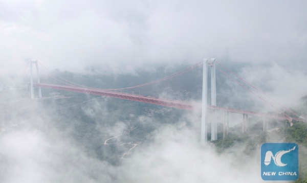 أعلى 10 جسور في العالم - صور